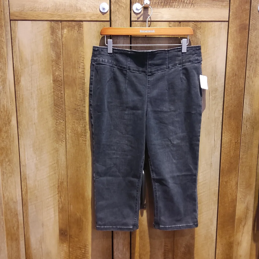 FREE PEOPLE We The Free Carousel Pull-On Capri Jeans NWT - Picture 7 of 14